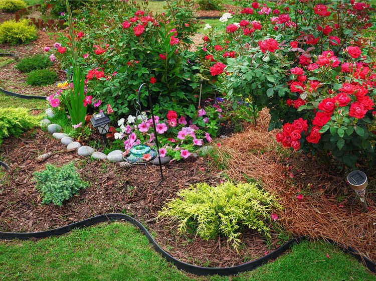Landscaping Trends
